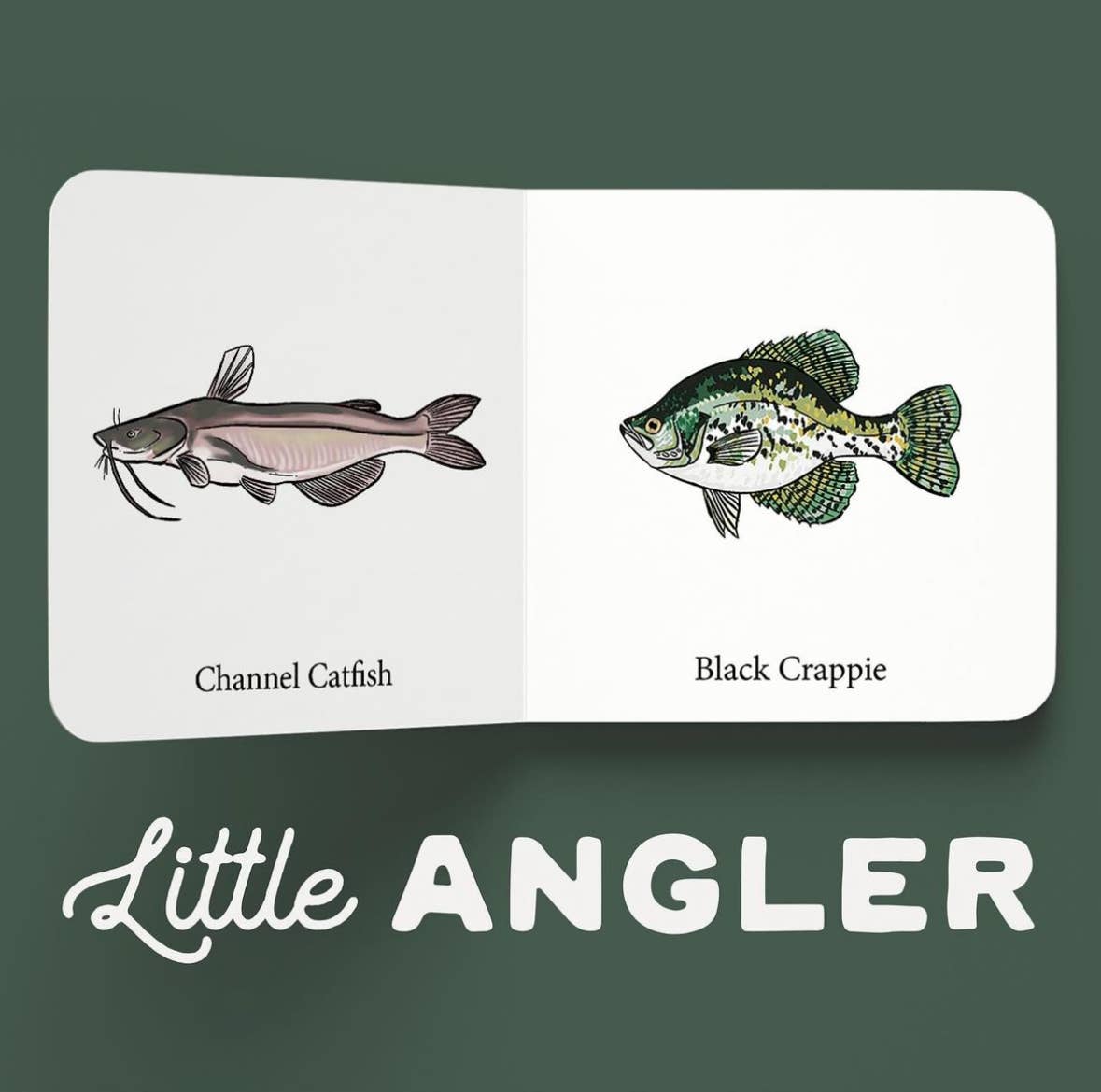 Little Angler | Book Set