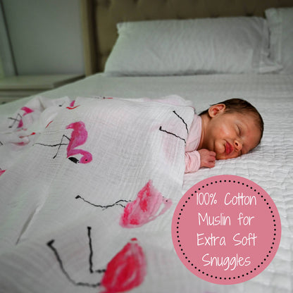 Flamazing  | Swaddle