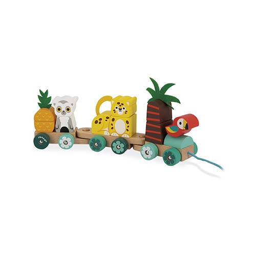 Tropical Train |  Pull Along